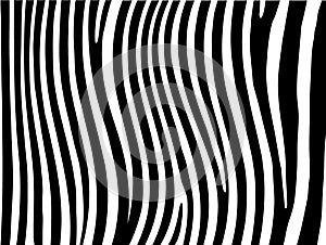 Zebra stripes background