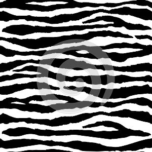 Zebra Stripes black and white pattern.