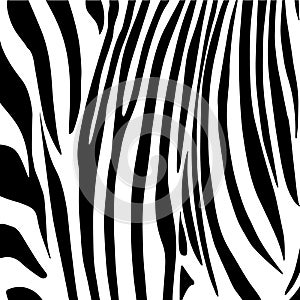 Zebra stripes pattern