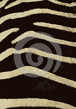 zebra stripes pattern. Stylized Spotted ZEBRA Skin Background for Fashion, Print, Wallpaper, Fabric. Vector illustration.