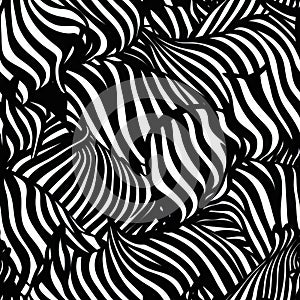 Zebra stripes pattern, unusual nature background, tribal ornament