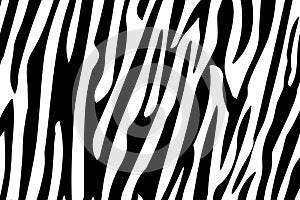 Zebra Stripes Seamless Pattern