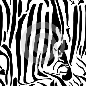 Zebra Stripes Seamless Pattern. Zebra print, animal skin, tiger stripes, abstract pattern, line background, fabric