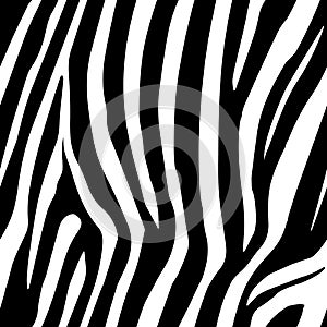 Zebra Stripes Seamless Pattern. Zebra print, animal skin, tiger stripes, abstract pattern, line background, fabric. Amazing hand d