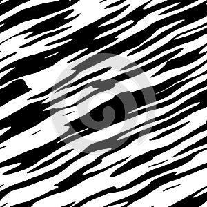 Zebra Stripes Vector