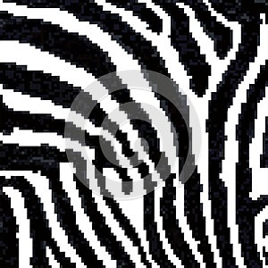 Zebra Stripes. VECTOR. Background. Pattern. A seamless pattern. Square. Ceramic tile. Mosaic.