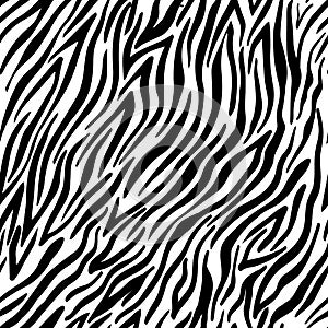 Zebra taxture seamless black and white animal skin