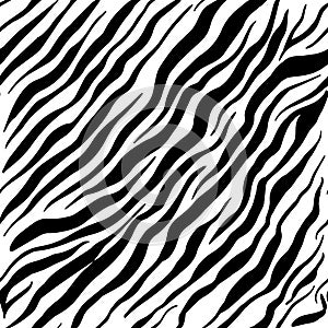 Zebra taxture seamless black and white animal skin