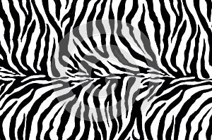 Zebra textile
