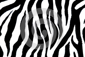 Zebra textile