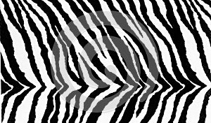 Zebra textile print img