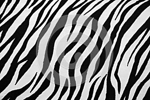 Zebra Textile Texture