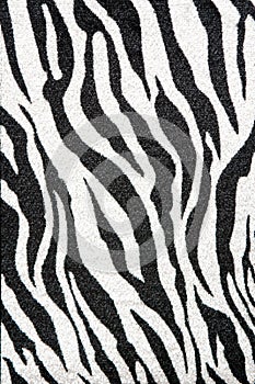 Zebra textile texture