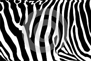 Zebra texture