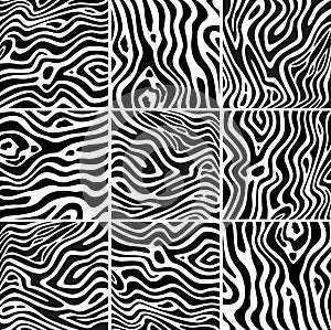 Zebra texture black and white