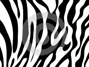 Zebra texture Black and White