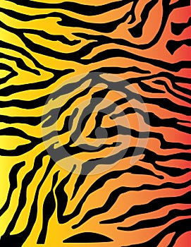 Zebra or tiger Stripes colorful pattern background in