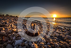 Zebra toy lying on the rocks on beach with sunset over lake Neusiedler in Podersdorf