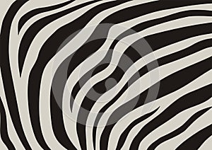 Zebra veins