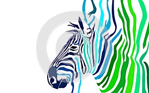 Zebra Wallpaper/Banner