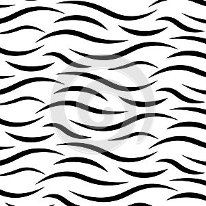 Zebra waves lines background. Safari artistic ornament black and white