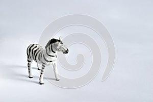 Zebra on white. Made of plastic. Side view