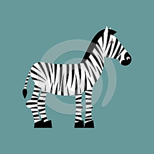 Zebra. Wild animals of Africa. Striped zebra. Zebra