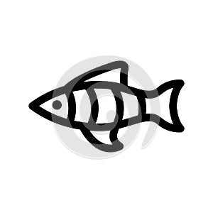 zebrafish icon or logo isolated sign symbol vector illustration