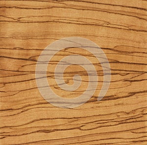 Zebrano oiled wood texture closeup