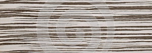 Zebrano White Exotic Wood Background Banner