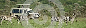 Zebras passing in front of 4X4