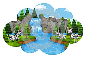 Zebras in waterfall scene