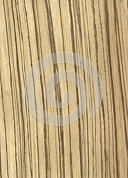 Zebrawood veneer texture
