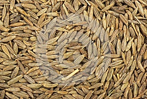 Zeera seeds close-up