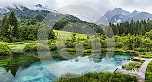 Zelenci pond near Kranjska Gora in Triglav National Park