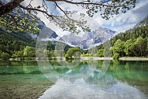 Zelenci pond near Kranjska Gora in Triglav National Park photo