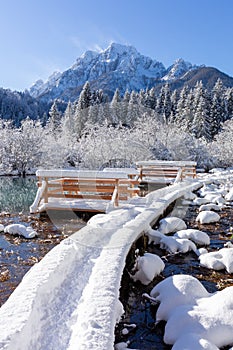 Zelenci springs at Kranjska Gora Slovenia