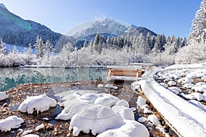 Zelenci springs at Kranjska Gora Slovenia