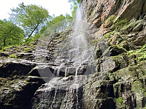 Zeleni vir waterfall or Curak waterfall in the significant landscape Green whirpool - Croatia / Slap Zeleni vir ili vodopad Curak