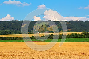 Zelezne hory with large wheat fields photo