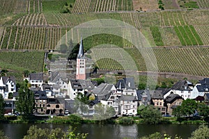 Zell an der Mosel with medieval houses at the river and steep vineyards behind