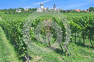 Zell im Zellertal,Rheinhessen,Germany photo