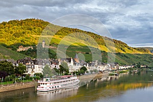 Zell Mosel in afternoon light