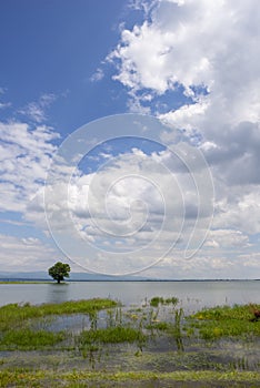 Zemplinska Sirava lake in Slovakia
