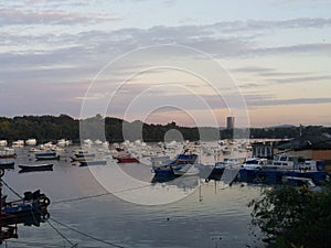 Zemun Marina Belgrade