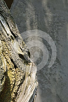 Zen abstract image vertical