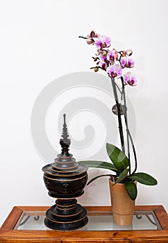 Zen ambiance with orchid