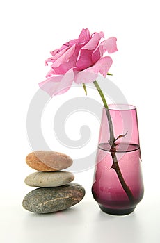 Zen atmosphere, vase and rose