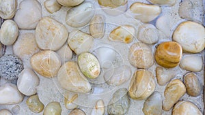 Zen background, stone at the sea, pebbles in shallow water. Peaceful bright nature concept