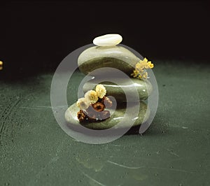 Stones with small flowers on a black background, the concept of peace, tranquillity, and quiet photo